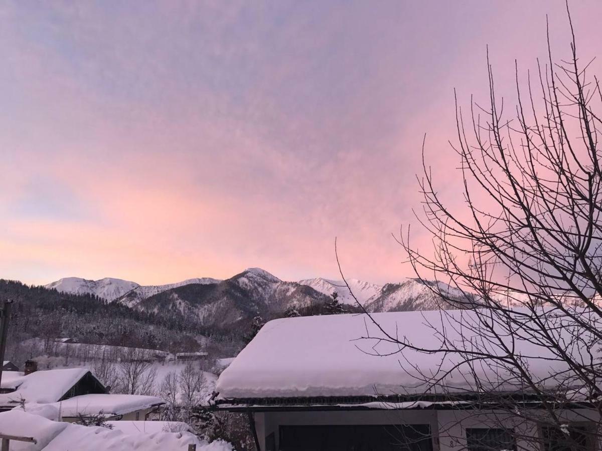 פישבאכאו Apartment With A Stunning View Of The Alps - Wohnung Mit Atemberaubenden Blick Auf Die Alpen מראה חיצוני תמונה